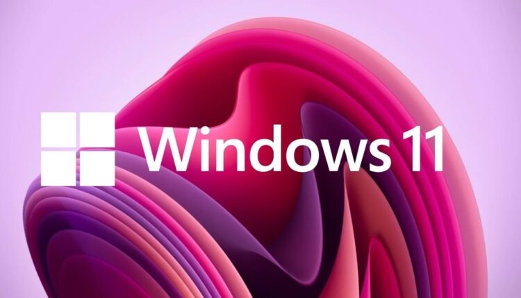 Windows 11
